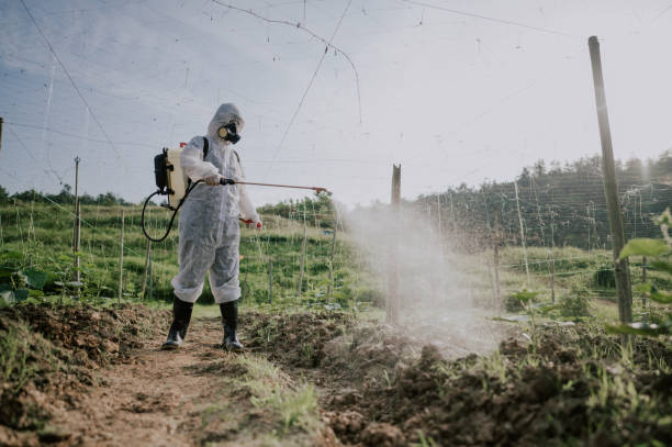 Best Ant Control Services  in Oakdale, MN