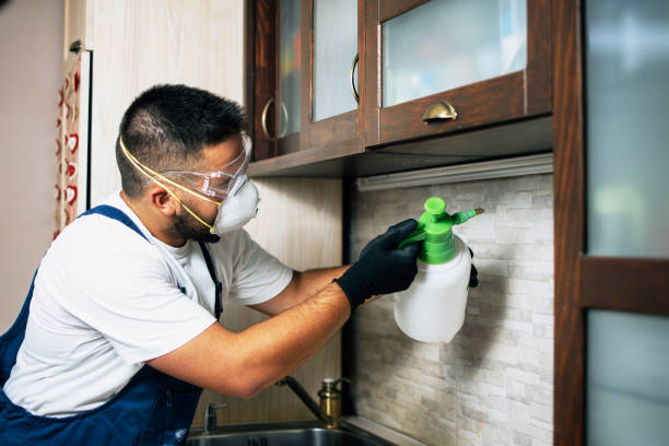 Pest Control Cost in Oakdale, MN