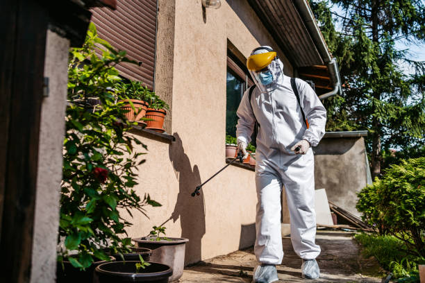 Best Wasp Removal Services  in Oakdale, MN