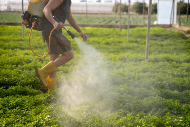 Best Affordable Pest Control Services  in Oakdale, MN