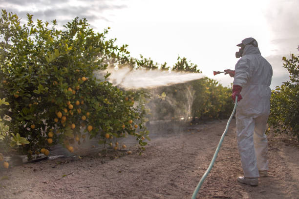 Best Best Pest Control Companies  in Oakdale, MN