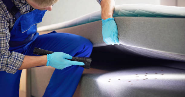 Best Local Pest Control Services  in Oakdale, MN