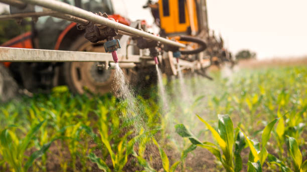 Best Mosquito Control Services  in Oakdale, MN